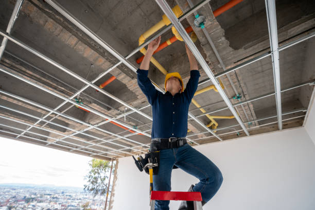 Best Local Plumber Services  in Princeton, MO