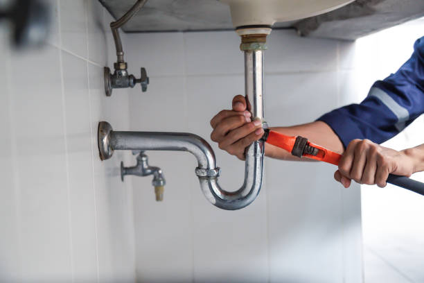 Best Leak Detection Services  in Princeton, MO